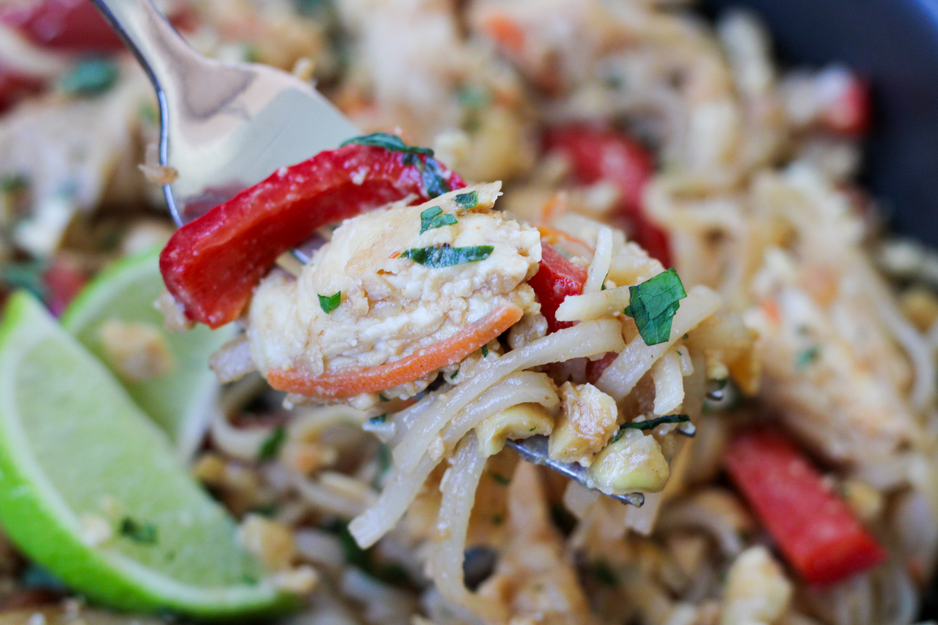 forkful of chicken pad thai
