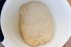 dough before first rise